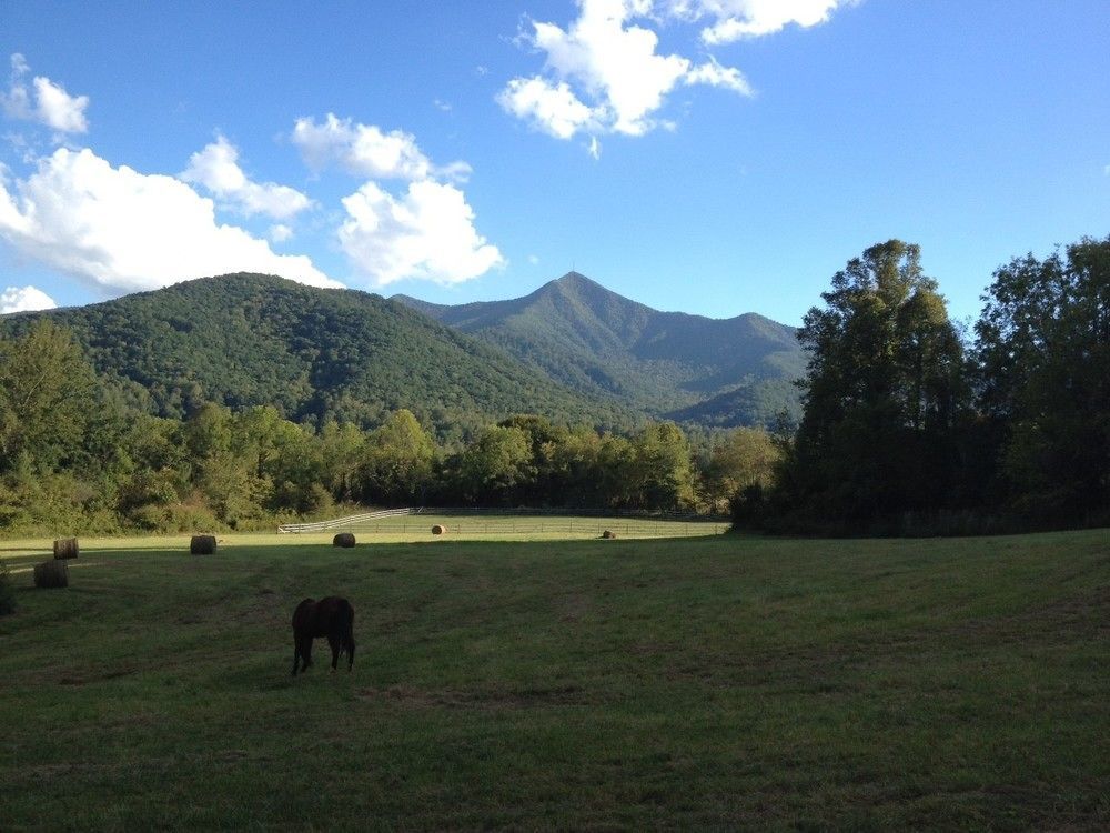 Готель Pisgah View Ranch Candler Екстер'єр фото